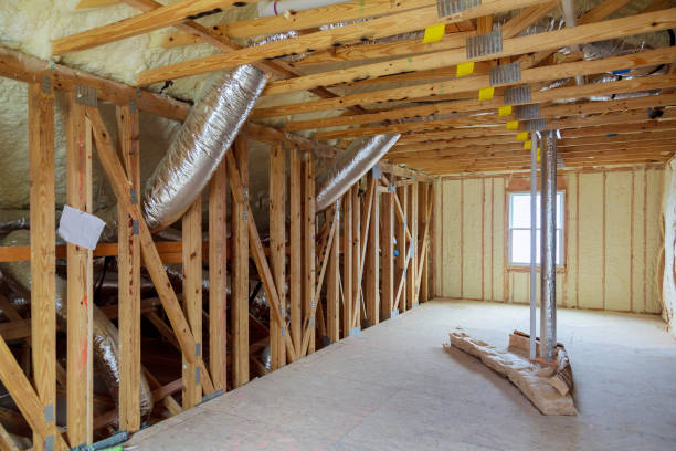 Best Insulation Removal  in Ringgold, LA